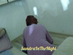 SandraInTheNight