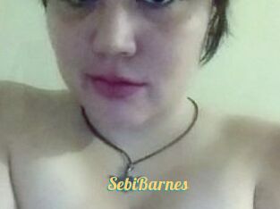 Sebi_Barnes