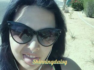 Shinningdaisy