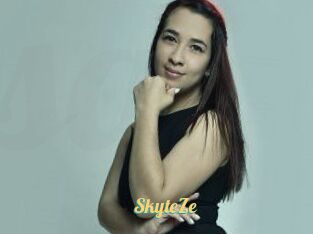 SkyteZe
