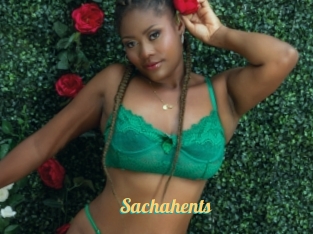 Sachahents