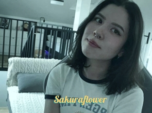 Sakuraflower