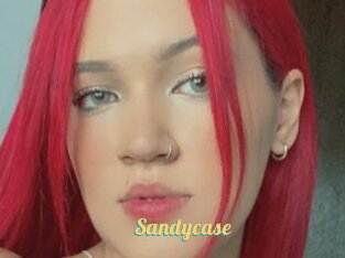 Sandycase