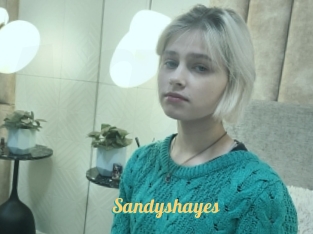 Sandyshayes