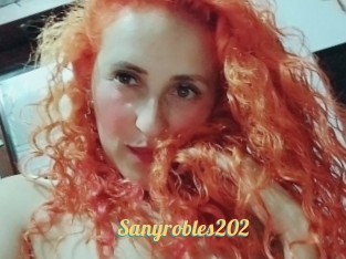 Sanyrobles202