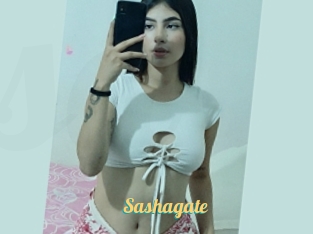 Sashagate