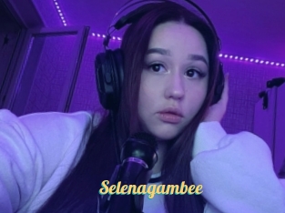 Selenagambee