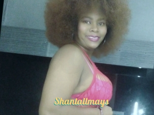 Shantallmays