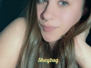 Shaybug