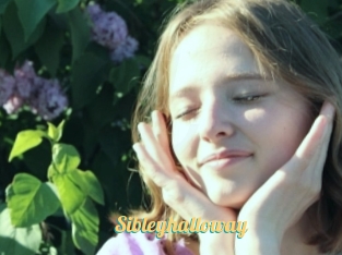 Sibleyhalloway