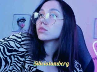 Silicialumberg