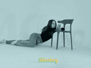 Silvakey