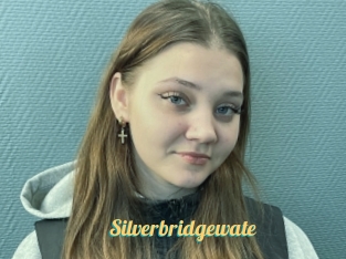 Silverbridgewate
