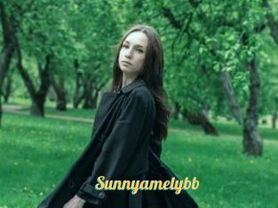 Sunnyamelybb