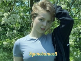 Synnebanwell