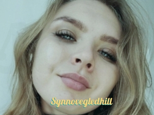 Synnovegledhill