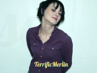 TerrificMerlin