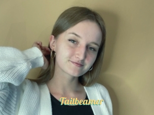 Taitbeamer