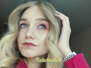 Taitehallett