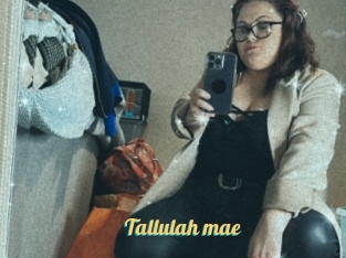 Tallulah_mae