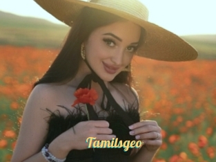Tamilsgeo
