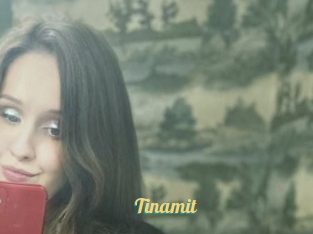 Tinamit