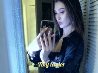 Tiny_taylor