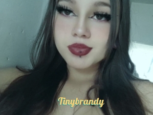 Tinybrandy
