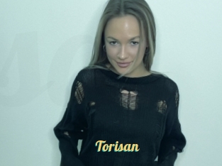 Torisan