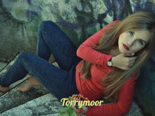 Torrymoor
