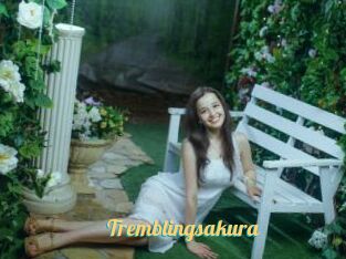 Tremblingsakura