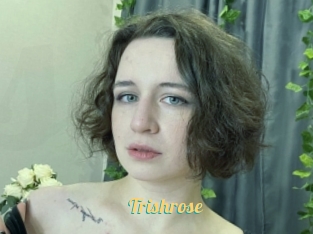 trishrose Sex Amatrices