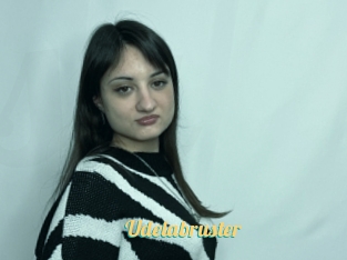 Udelabruster