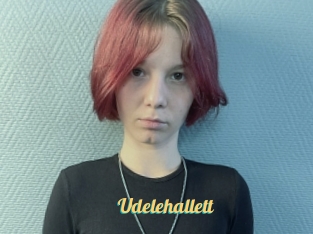 Udelehallett