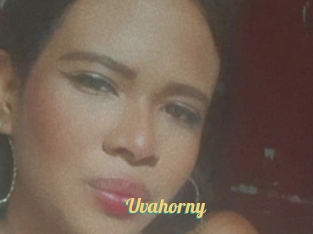 Uvahorny