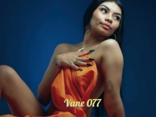 Vane_077