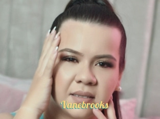 Vanebrooks