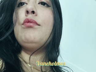 Vaneholmes