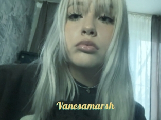 Vanesamarsh