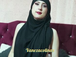 Vanezacolinas