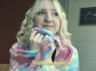 Vannessaspark
