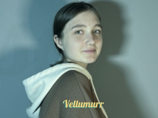 Vellumurr