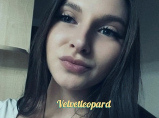 Velvetleopard