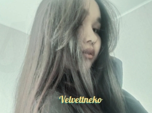 Velvettneko