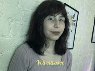 Velvettrosee