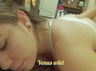 Venus_wild