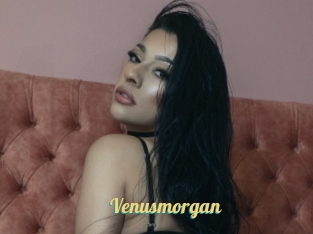 Venusmorgan