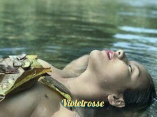 Violetrosse