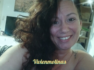 Vivienmolinas