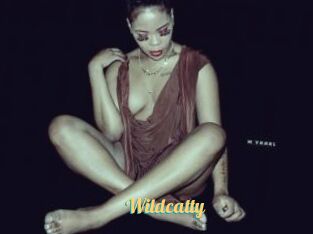 Wildcatty